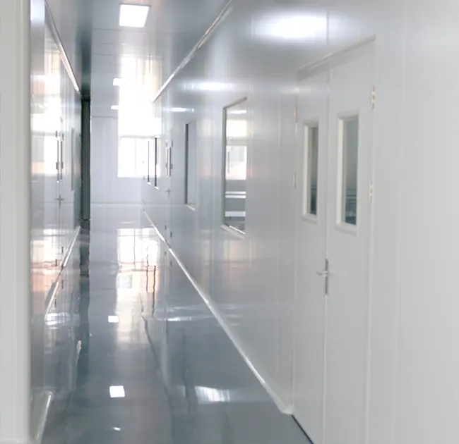 GMP Standart Müasir Təmiz Otaqlarla Peşəkar Endoskop Təmizləmə Fırçası Fabriki