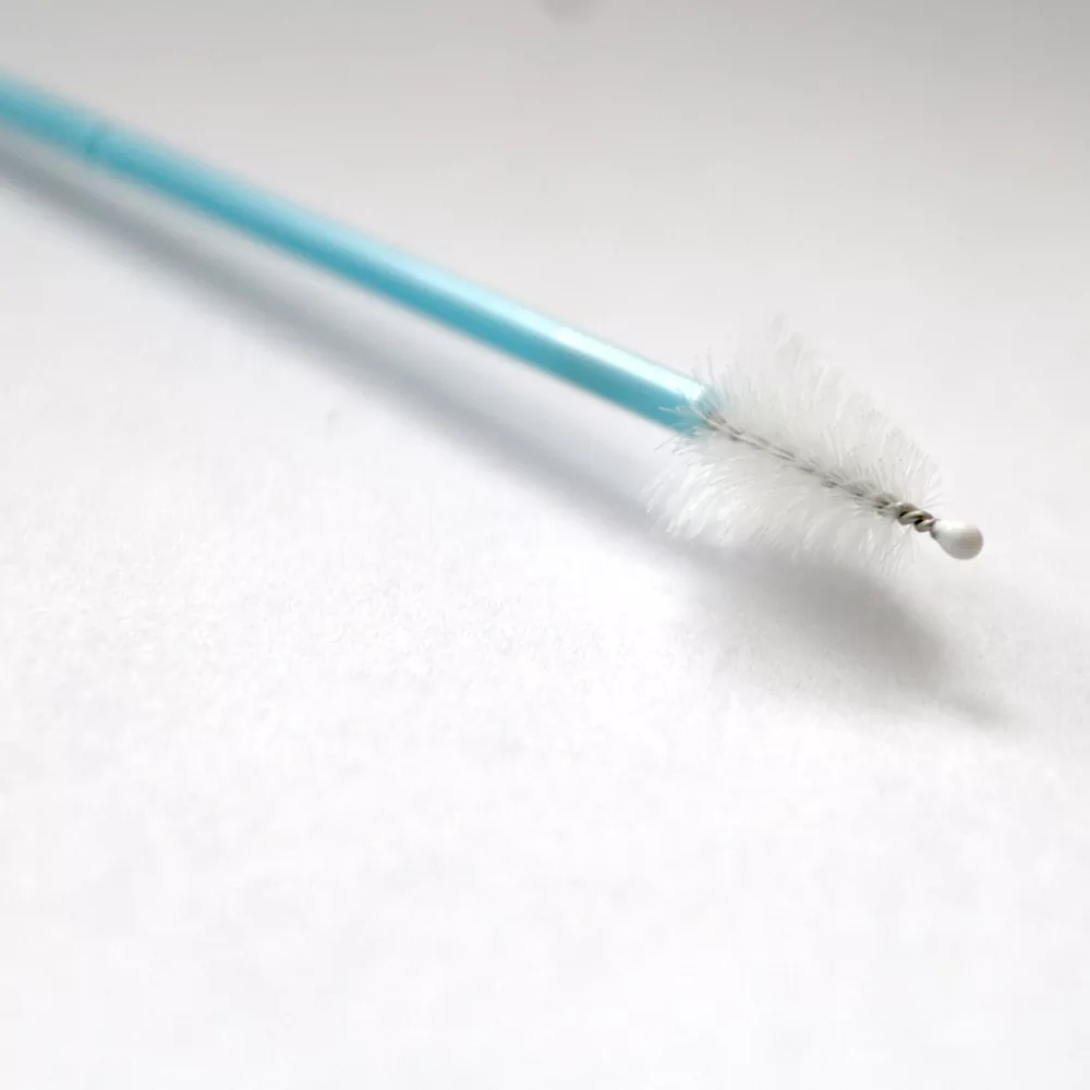 Cervical Brush for HPV Testing